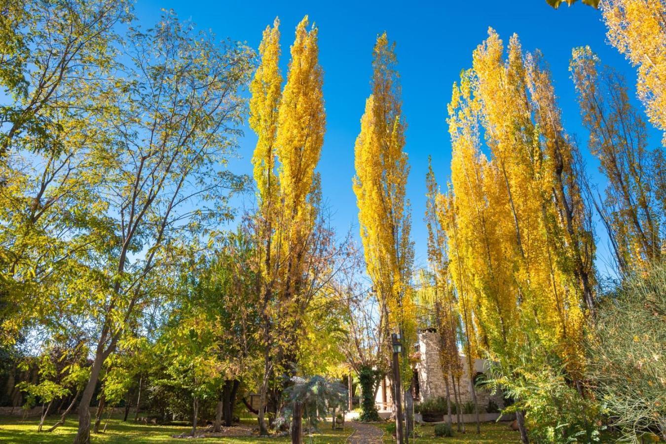 Aromos De Olivares Chacras de Coria Exterior photo